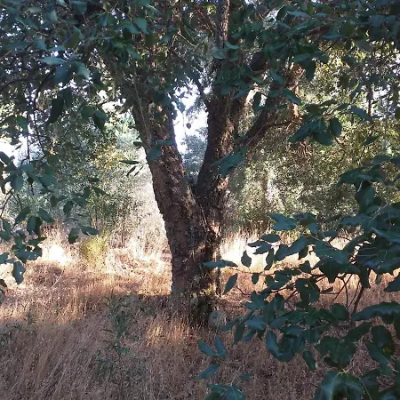 Quinta Da Relva בית נופש מונצ'יק