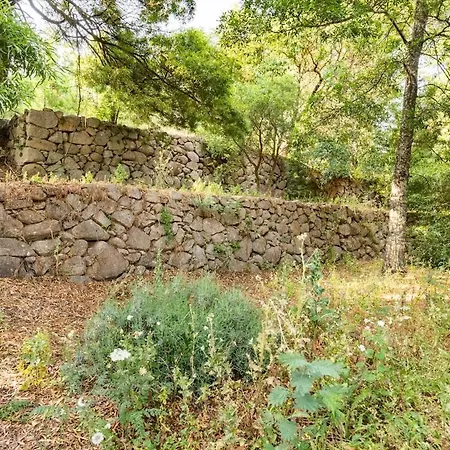 Quinta Da Relva Monchique