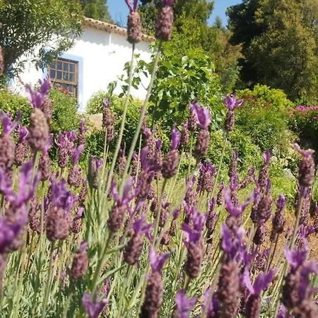 Quinta Da Relva Monchique